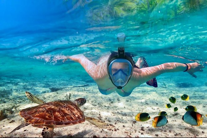 Punta Cana Combo Tour: Snorkeling, Catamaran Cruise & Parasailing - Timing: the biggest practical concern