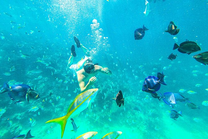 Punta Cana Exclusive Adults-Only Snorkel with Food and Drinks - Key points to know before you book