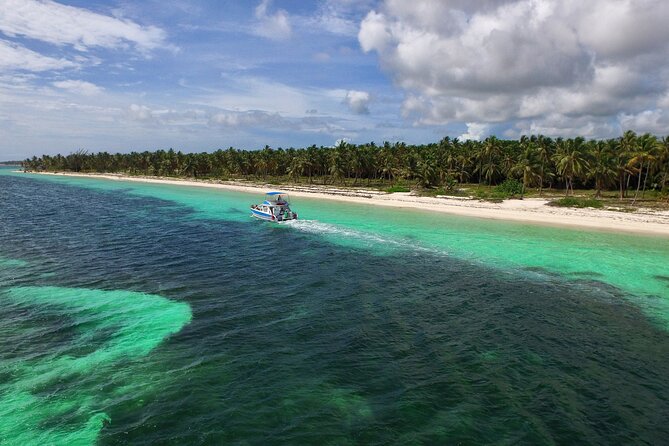 Punta Cana Exclusive Adults-Only Snorkel with Food and Drinks - Snorkeling at the coral nursery