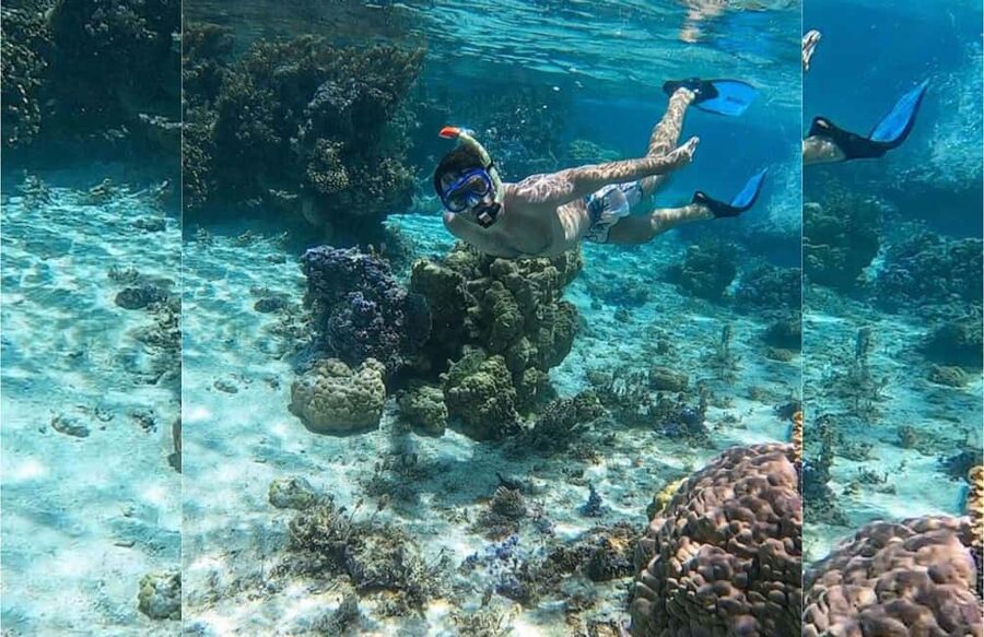Punta Cana: Full-day Snorkelling Tour in Catalina Island - The snorkeling stop is the strongest part
