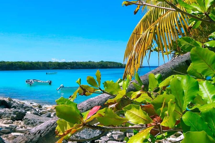 Punta Cana or La Romana: Catalina Island Tour and Snorkeling - The bus and boat ride set the tone