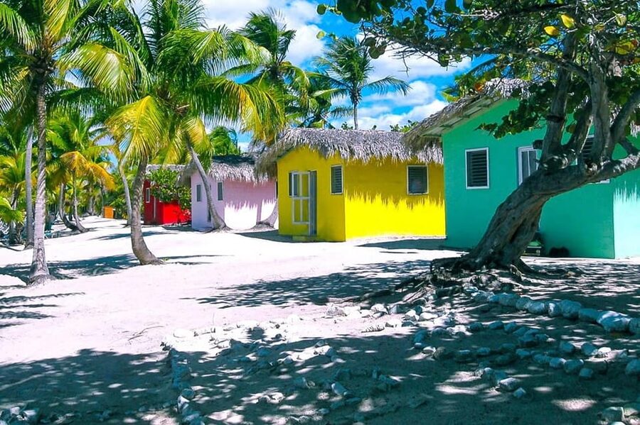 Punta Cana or La Romana: Catalina Island Tour and Snorkeling - A Dominican buffet keeps the day easy