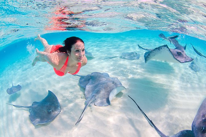 Punta Cana Private Virgen Beach Small & Big Group Snorkel Cruise - The crew and the tone of the cruise