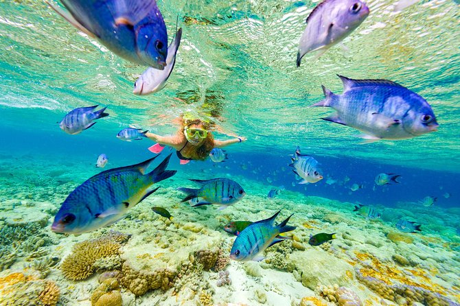 Punta Cana Snorkeling Cruise and Dune buggy Combo Adventure - Key points before you book