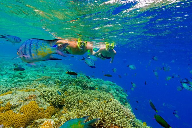 Punta Cana Snorkeling Cruise and Dune buggy Combo Adventure - Macao Beach, white sand, and persistent vendors
