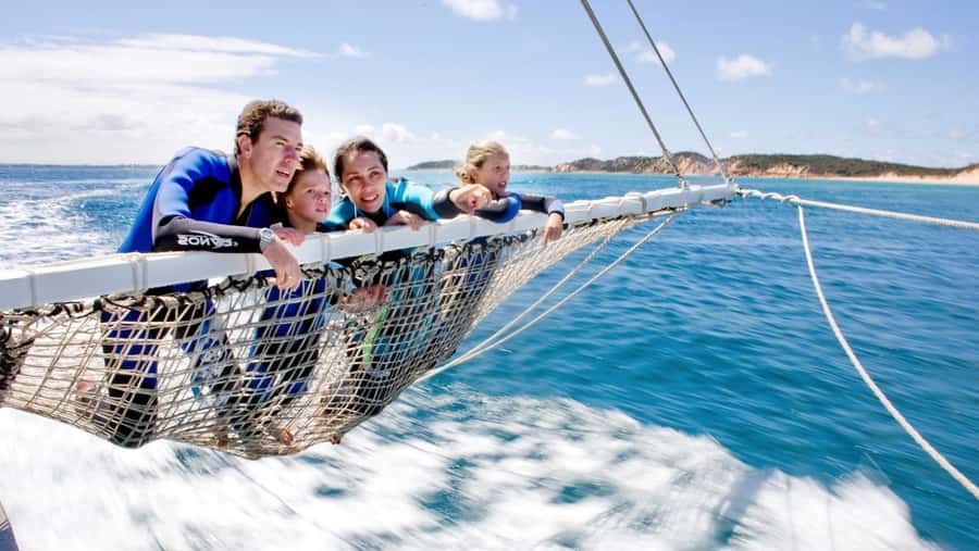 Queenscliff Harbour: 3.5hr Seal & Dolphin Snorkelling Tour - Chinaman’s Hat brings the closest wildlife encounter