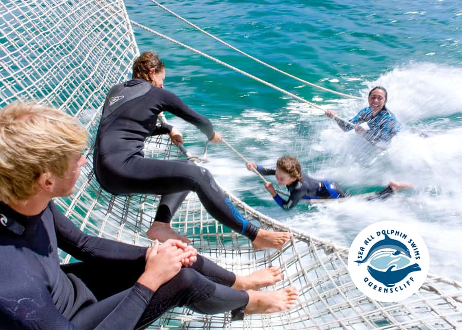 Queenscliff Harbour: 3.5hr Seal & Dolphin Snorkelling Tour - What to bring and what to leave behind