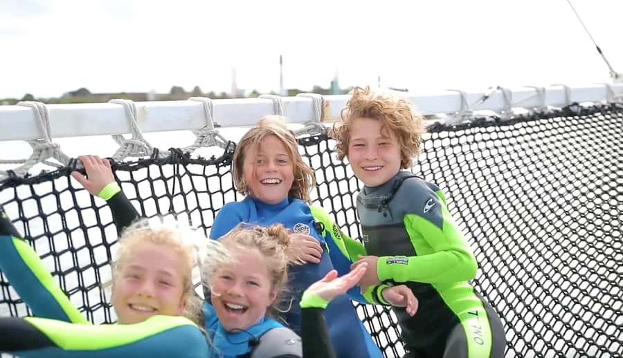 Queenscliff Harbour: 3.5hr Seal & Dolphin Snorkelling Tour - Weather, cancellations, and the wild factor