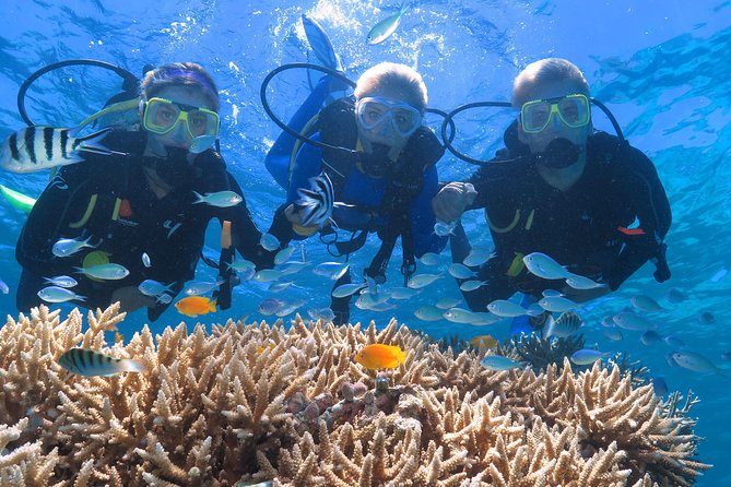 Quicksilver Great Barrier Reef Snorkel Cruise from Port Douglas - How the timing works at the reef