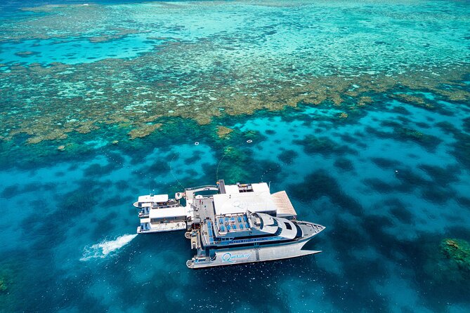 Quicksilver Great Barrier Reef Snorkel Cruise from Port Douglas - Snorkeling, guided swims, and the Ocean Walker