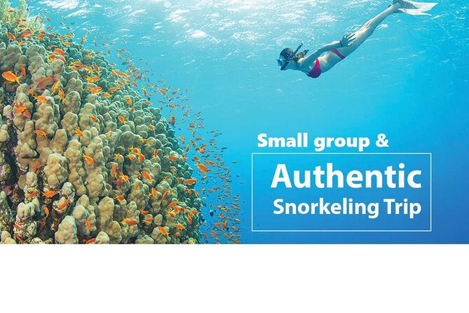 REAL snorkel &island hopping by SPEEDBOAT-EXPLORE CUISINES(MAX12) - A fast start from An Thoi Port