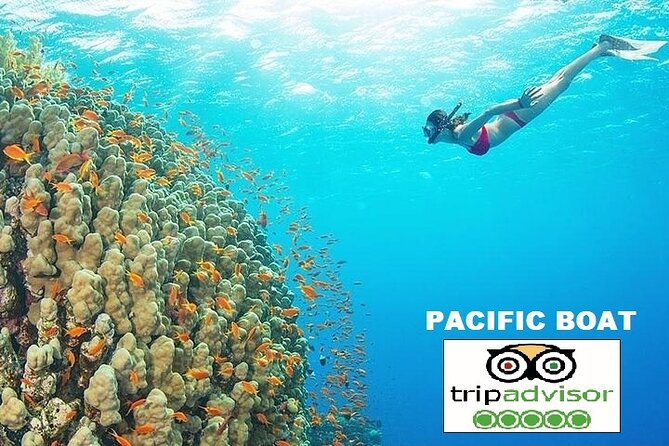 REAL snorkel &island hopping by SPEEDBOAT-EXPLORE CUISINES(MAX12) - Weather, water quality, and environmental limits