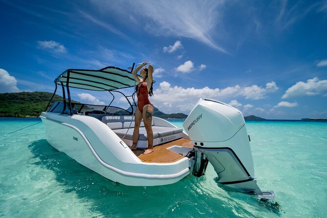 Reef Discovery Luxury Private Snorkeling Lagoon Tour - What the guide adds to the outing