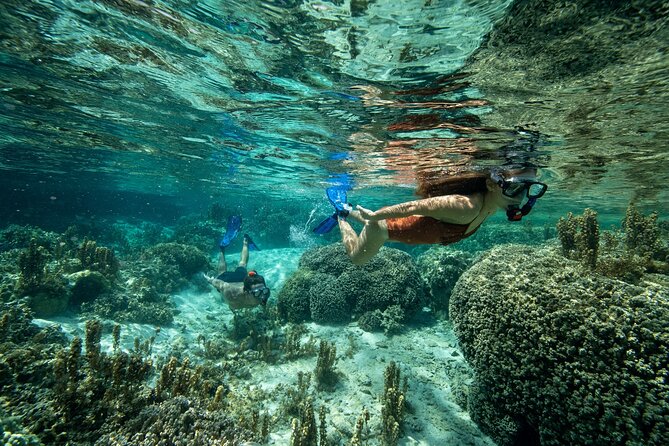 Reef Discovery Luxury Private Snorkeling Lagoon Tour - The right fit for couples, families, and small groups