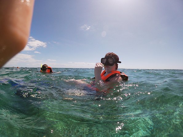 Reef Snorkel In National Park In Puerto Morelos With Lunch And Transportation - What you may see below the surface