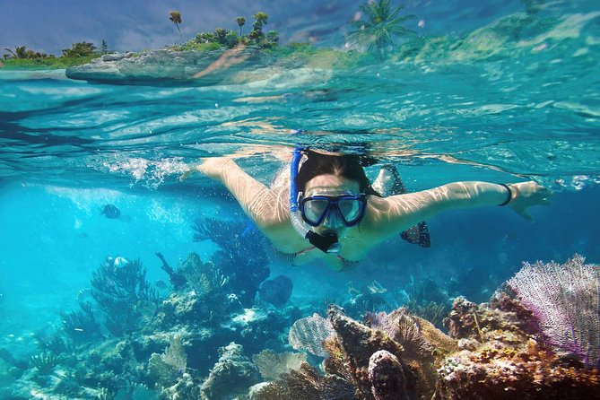 Reef Snorkel In National Park In Puerto Morelos With Lunch And Transportation - Time in the water and guide support