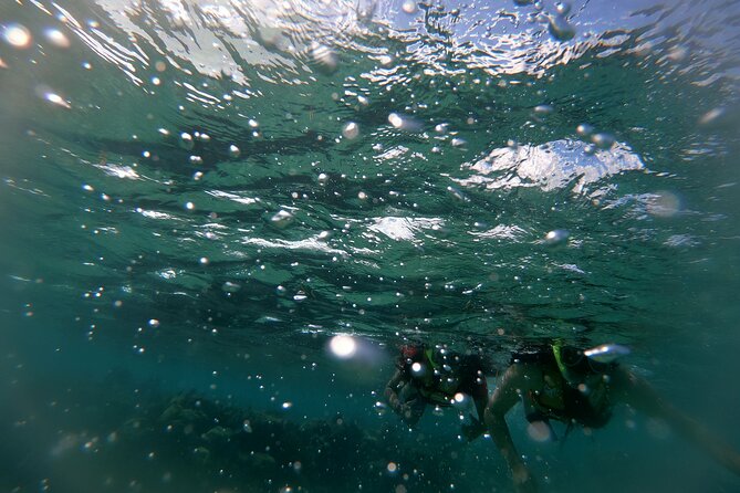 Reef Snorkel In National Park In Puerto Morelos With Lunch And Transportation - Tacos, beach time, and the tequila stop