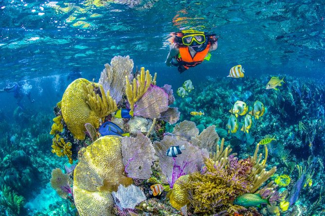 Reef Snorkel In National Park In Puerto Morelos With Lunch And Transportation - Getting ready at the Puerto Morelos meeting point
