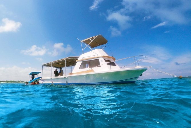 Reef Snorkeling in National Park from Cancun with Beachside Lunch - Safety, Group Size, and What to Pack