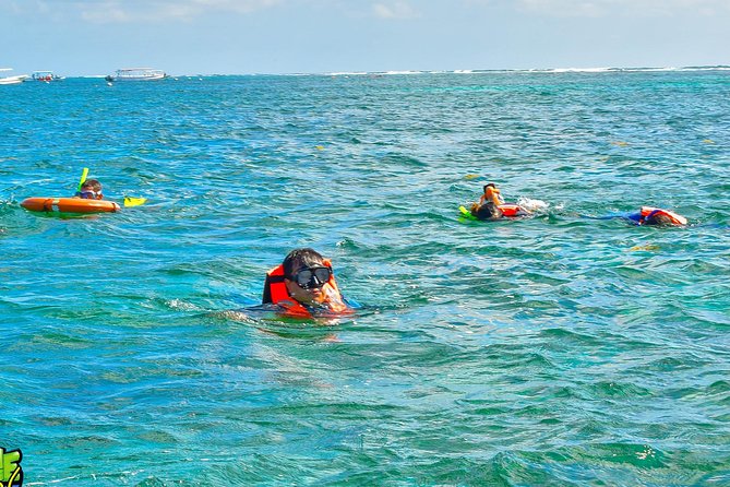 Reef Snorkeling in National Park from Cancun with Beachside Lunch - Is the $44 Price Good Value?