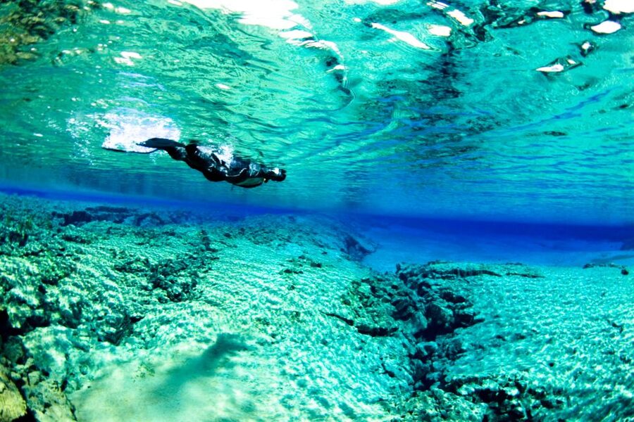 Reykjavik: Silfra Snorkeling & Lava Tunnel Adventure Combo - Should you book the Silfra and lava tunnel combo?