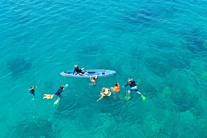 Ride & Slide by South Sea Cats - Half Day Snorkelling Trip - Snorkelling among coral and tropical fish
