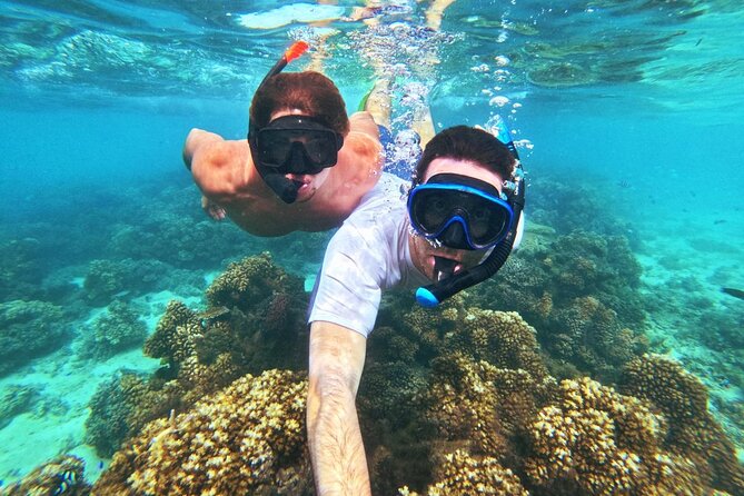 Ride & Slide by South Sea Cats - Half Day Snorkelling Trip - What you eat and drink on the afternoon trip