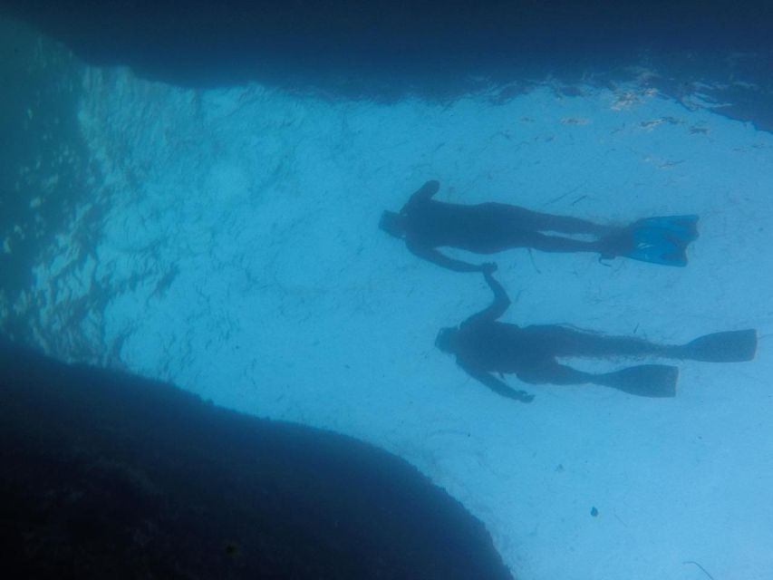 Rio: Snorkel & Swim with Turtles Tour at Tijuca Islands - Island time, photos, and a possible walk
