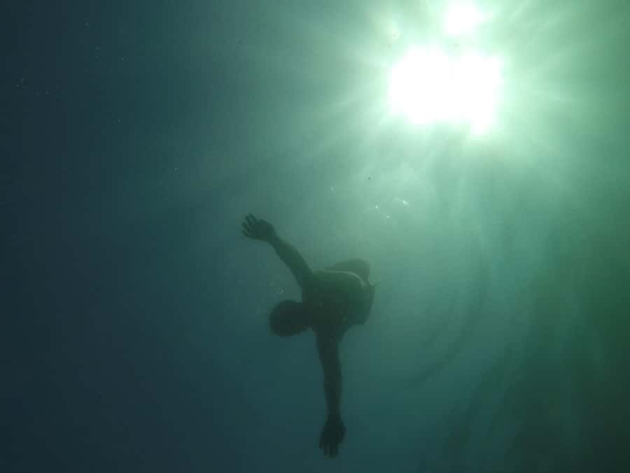 Rio: Snorkel & Swim with Turtles Tour at Tijuca Islands - Wildlife can include more than turtles