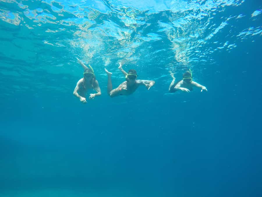 Rio: Snorkel & Swim with Turtles Tour at Tijuca Islands - The 20-minute speedboat ride