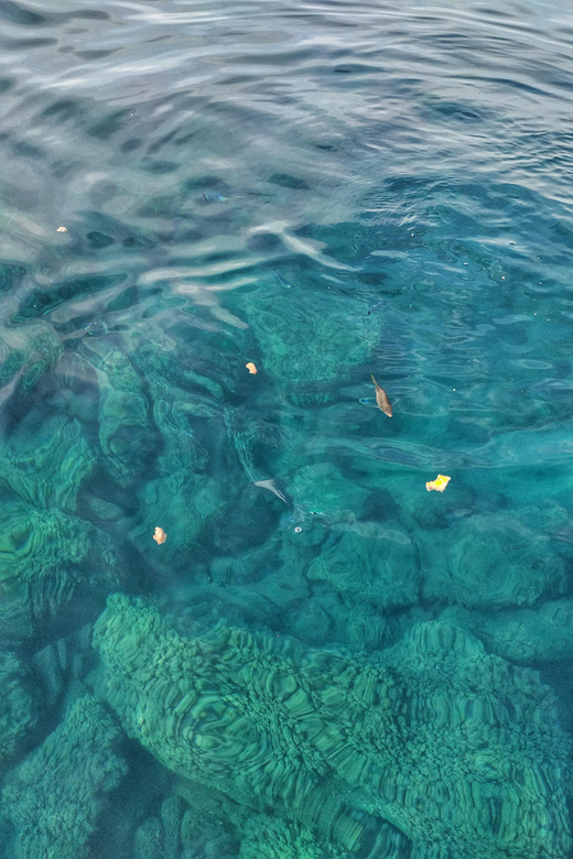 Riomaggiore: Cinque Terre Daytime Cruise with Snorkeling - Key points to know before booking