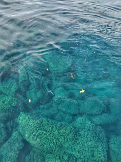 Riomaggiore: Cinque Terre Daytime Cruise with Snorkeling - Should you book this Riomaggiore cruise?