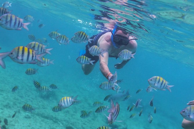 Riviera Maya Luxury Snorkeling Cruise with Lunch and Drinks - Weather, cancellations, and practical limits