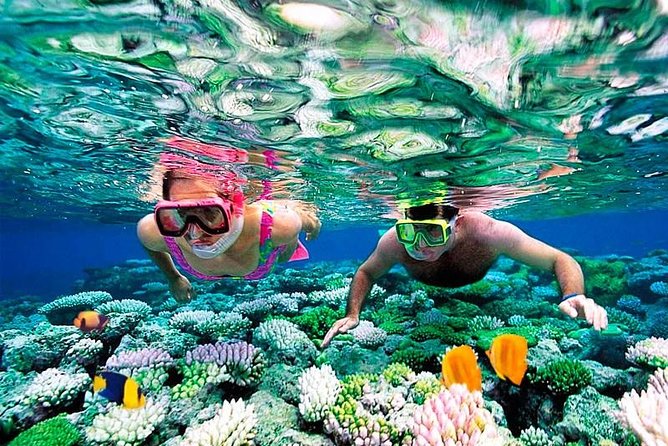 Riviera Maya Snorkeling - Why Puerto Morelos Works for a Short Snorkel Trip