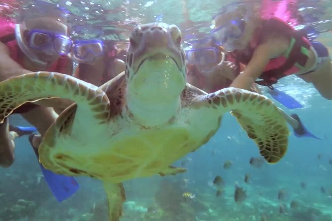 Riviera Maya Snorkeling - Two Hours at the Puerto Morelos Beach Club
