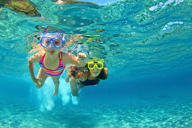 Roatán Private Snorkeling, Wildlife Park, and West Bay Beach - A private start from Roatán’s cruise port