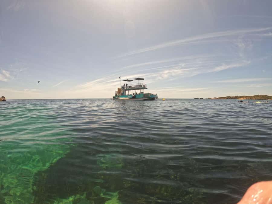 Rockingham: 3 Island Wildlife Snorkeling Cruise with Lunch - Should you book the 3 Island Wildlife Snorkeling Cruise?