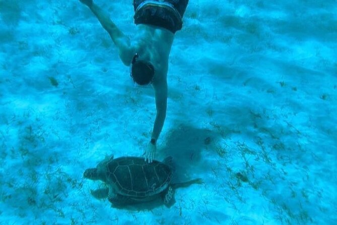 Rose Island Adventure: Snorkel, Sea Turtles, and Private Beach - Looking for turtles at Green Cay