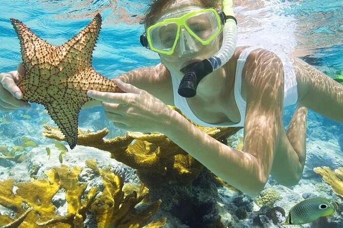 Rose Island Adventure: Snorkel, Sea Turtles, and Private Beach - Snorkeling at Rose Island Reef