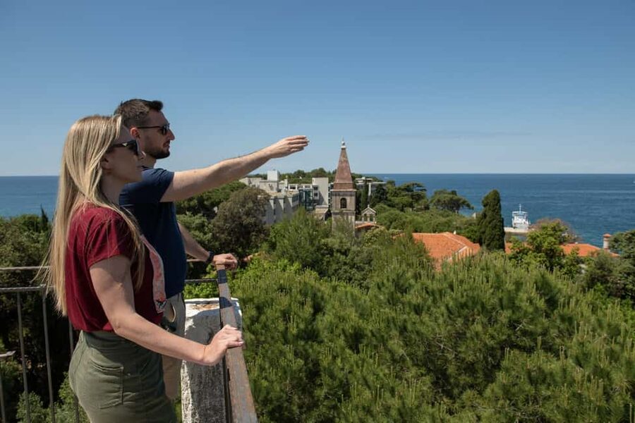 Rovinj: Luxury Island Hopping with Swimming & Snorkeling - Cruising around Red Island and its lighthouse