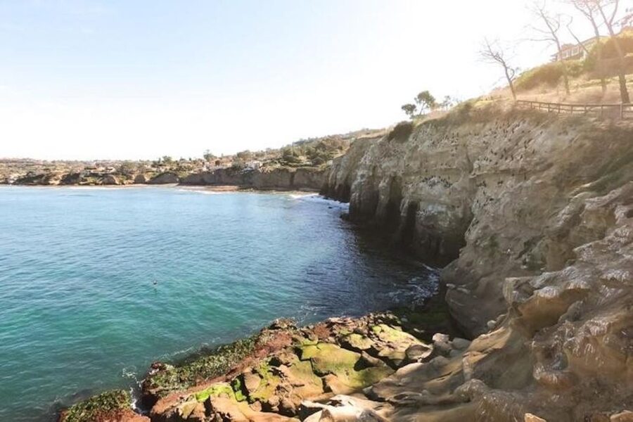 San Diego: La Jolla Cove Guided Snorkeling Tour - What makes guide Rich such an important part of it