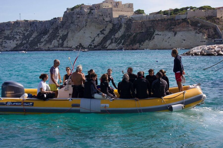 San Domino, Tremiti: guided snorkeling tour - The $29 price and what it really covers