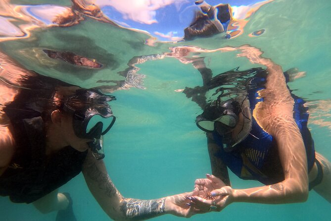 San Juan Guided Snorkel With Turtles Tour and Videos - Escambron Beach makes this a simple shore-entry outing