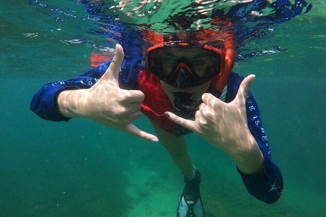 San Juan: Snorkeling with Turtles Adventure and Free Videos - The marine life you may see