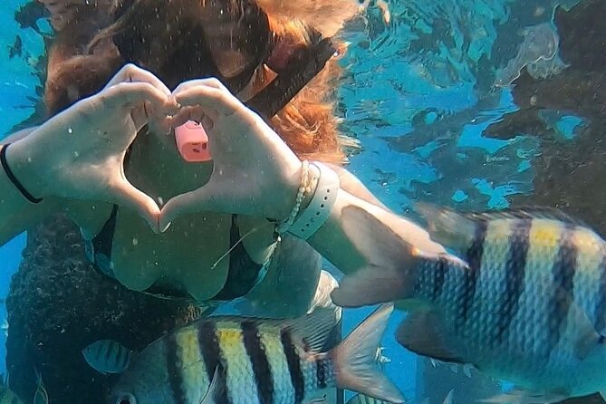 San Juan: Snorkeling with Turtles Adventure and Free Videos - The guides make the biggest difference