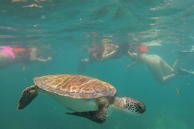 San Juan: Snorkeling with Turtles Adventure and Free Videos - What to bring, and what you pay extra for