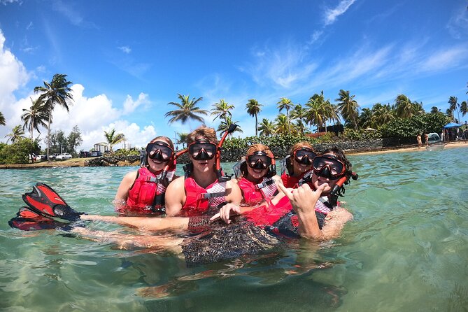San Juan: Snorkeling with Turtles Adventure and Free Videos - Entering the water and getting comfortable