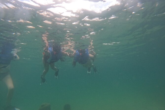 San Juan Turtle Spotting Snorkel Adventure with Videos - What the included videos add
