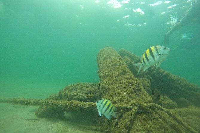 San Juan Turtle Spotting Snorkel Adventure with Videos - Weather and visibility can change everything