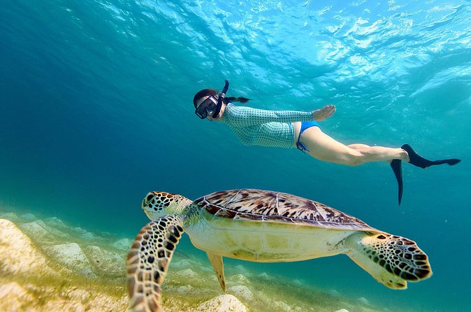 San Juan Turtle Spotting Snorkel Adventure with Videos - Practical details that make the day easier